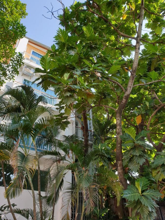 Hostel Breadfruit Čiang Mai Exteriér fotografie